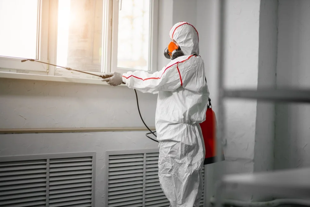 Professional mold remediation services in Mill Creek, IN